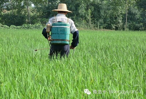  人為什么要吃保健品的9個理由