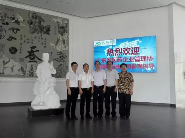 廣東省醫藥管理協會領導參觀健碼制藥廠
